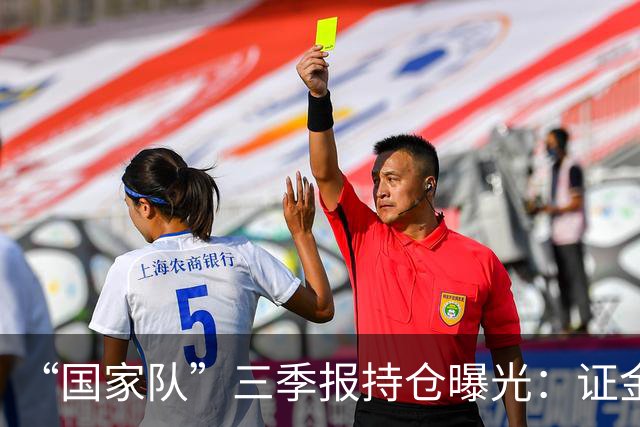 “国家队”三季报持仓曝光：证金重仓中国神华，社保基金增持中金岭南