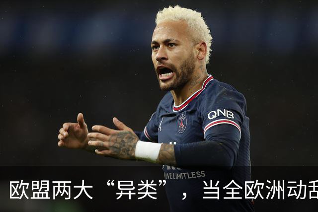 欧盟两大“异类”，当全欧洲动乱时，靠中国走上“捷径”躲过一劫
